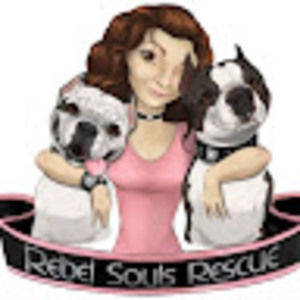 Meet your Posher, Heidi